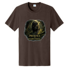 Dark Chocolate Brown - PC43 - FRONT